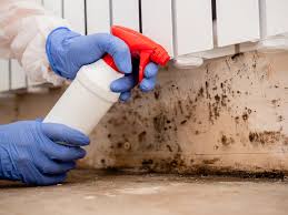 Best Industrial Mold Remediation  in Shenandoah, LA